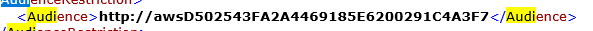 pic13.png